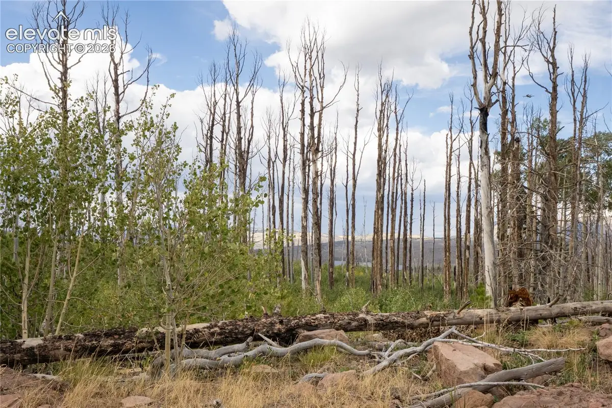 Lot 1947 Hilda Lane, Fort Garland, CO 81133 - #1
