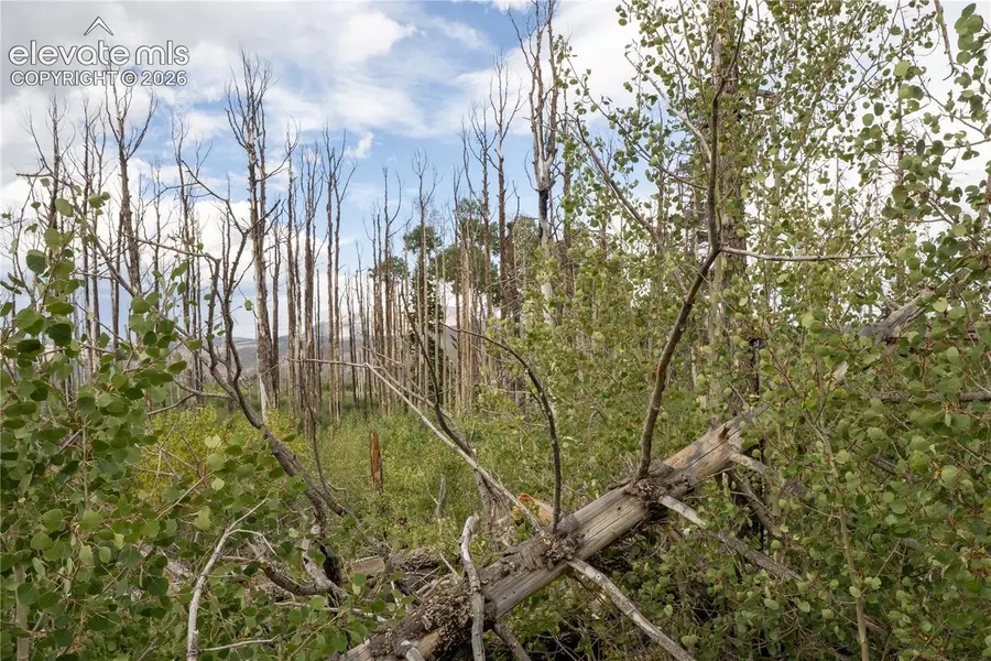 Lot 1947 Hilda Lane, Fort Garland, CO 81133 - #2