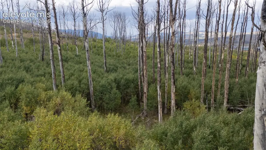 Lot 1947 Hilda Lane, Fort Garland, CO 81133 - #3