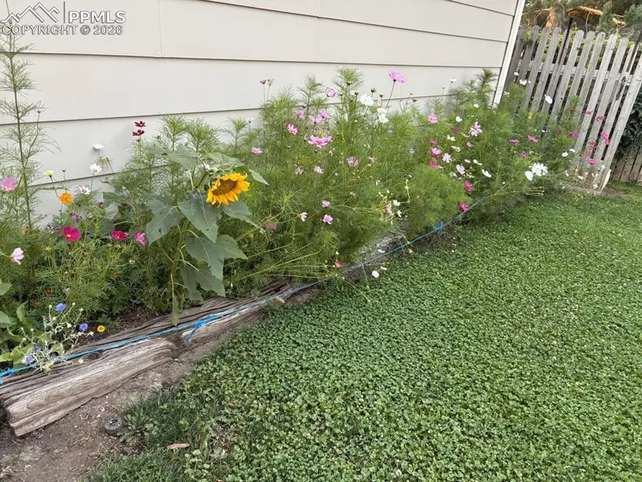 4127 Palmer Park Boulevard, Colorado Springs, CO 80909 - #3