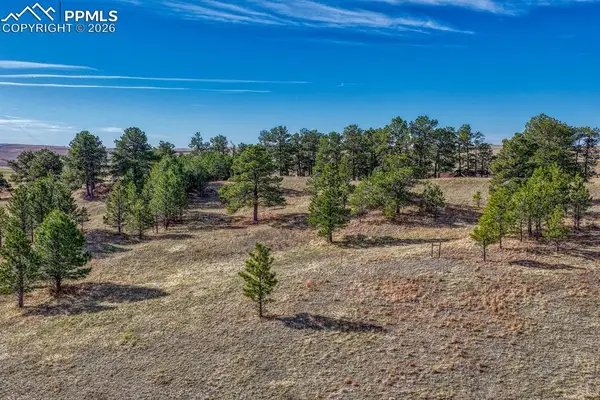17265 Warriors Path Drive, Peyton, CO 80831
