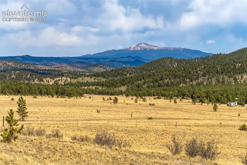 Pike View Drive, Lake George, CO 80827 - #1