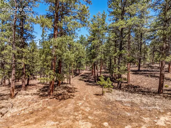 185 Sioux Trail, Westcliffe, CO 81252