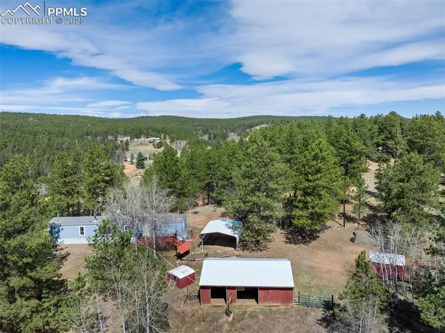 1360 Kiowa Road, Florissant, CO 80816 - #2
