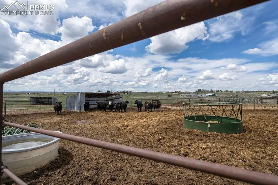 24120 Palomino Circle, Calhan, CO 80808 - Image #2