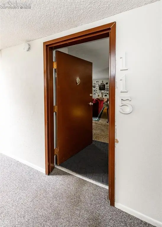935 Saturn Drive #115, Colorado Springs, CO 80905 - #3