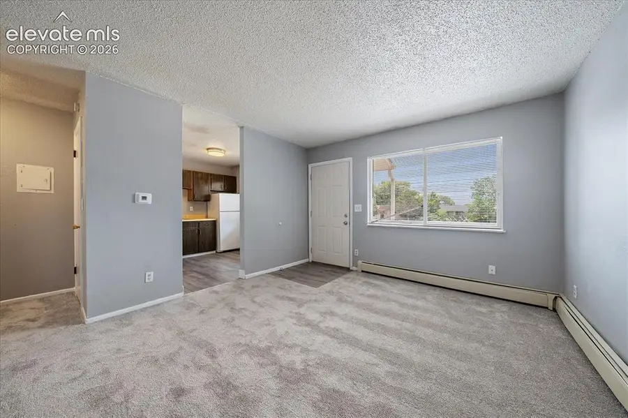 325 Bonnie Court, Colorado Springs, CO 80916 - #3