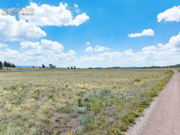 74 Wrights Lane, Guffey, CO 80820