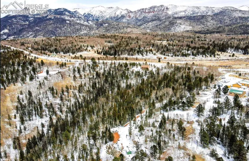 977 County Road 61, Divide, CO 80814 - #1