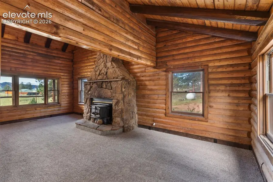 258 Appian Way, Florissant, CO 80816 - #3