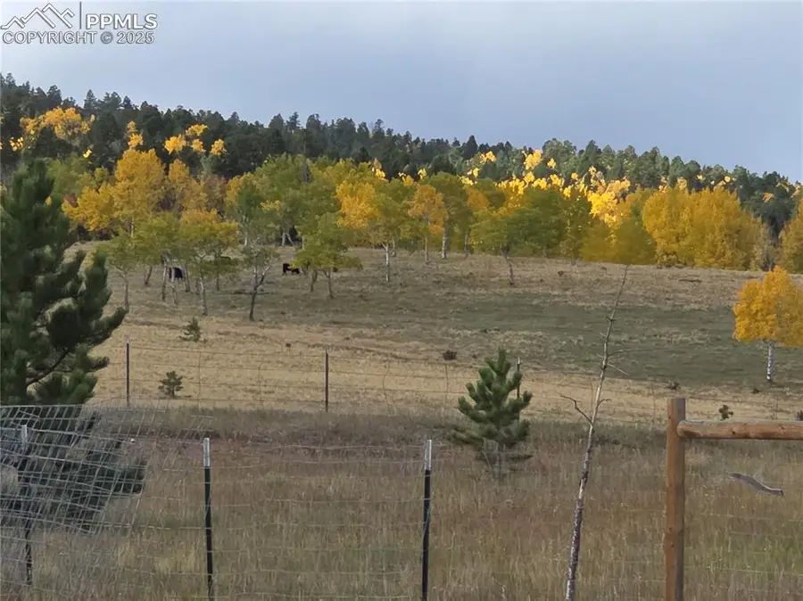 1186 Will Scarlet Drive, Divide, CO 80814 - Image #3