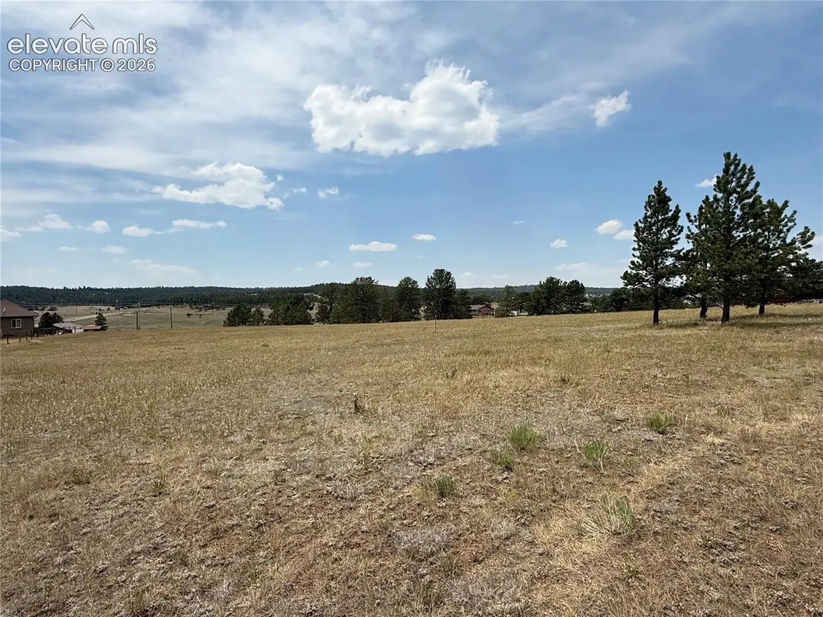 350 High Pasture Road, Florissant, CO 80816 - #1