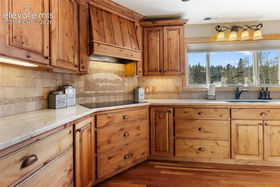 2809 Edlowe Road, Woodland Park, CO 80863 - #3