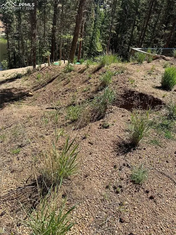 67 Gerka Lane, Florissant, CO 80816 - #1