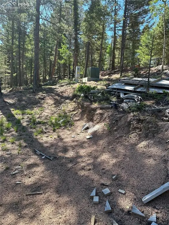 67 Gerka Lane, Florissant, CO 80816 - #2