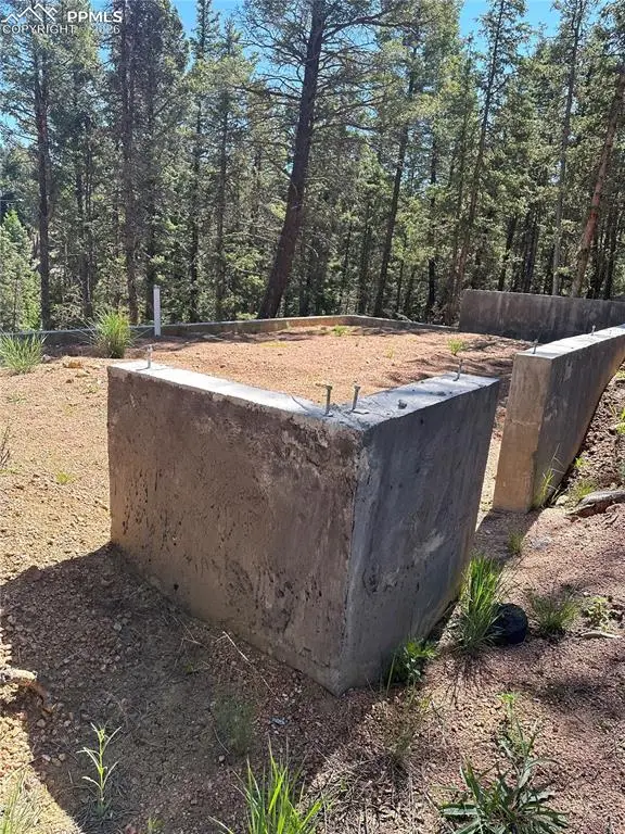 67 Gerka Lane, Florissant, CO 80816 - #3