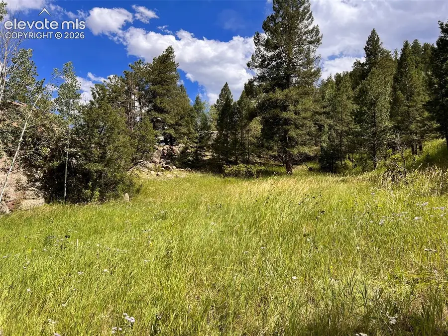 313 Elliott Drive, Florissant, CO 80816 - #2