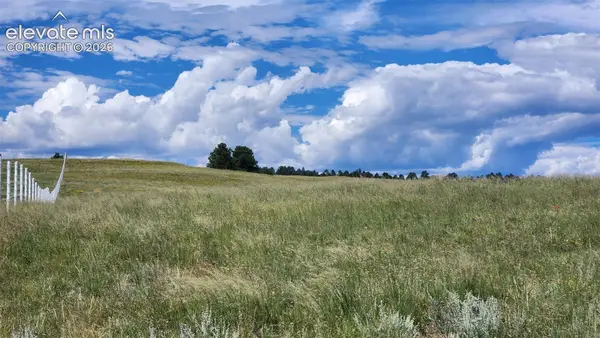 15196 Eastonville Road, Elbert, CO 80106