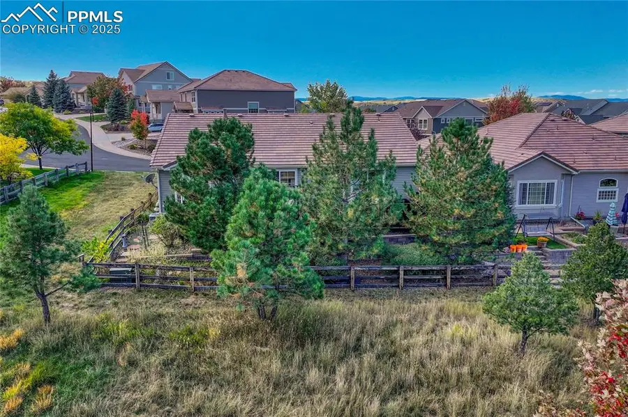 1410 Exquisite Street, Castle Rock, CO 80109 - Image #3
