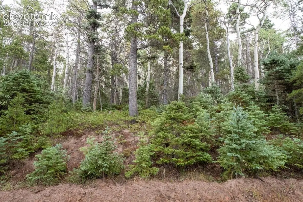 LOT 2614 Petito Drive, Fort Garland, CO 81133 - #1