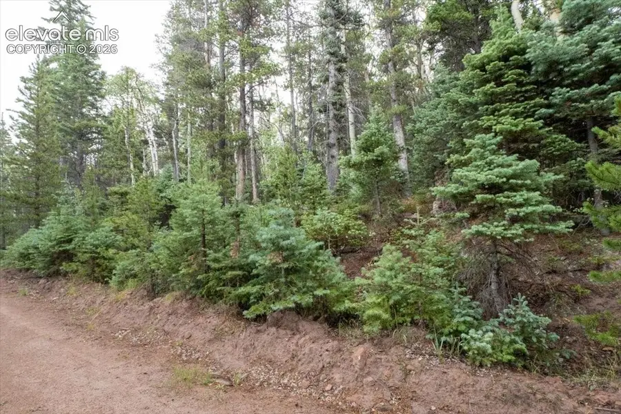 LOT 2614 Petito Drive, Fort Garland, CO 81133 - #2