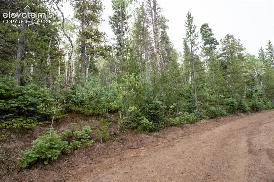LOT 2614 Petito Drive, Fort Garland, CO 81133 - #3