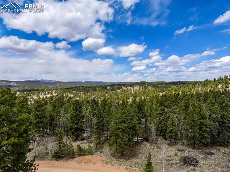 451 Chipeta Creek Trail, Florissant, CO 80816 - Image #2