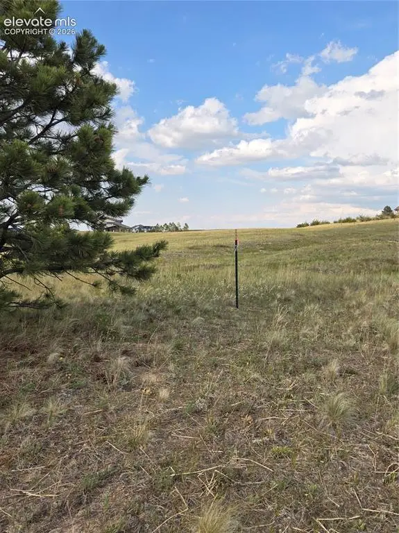 16655 Boundary Basin Court, Colorado Springs, CO 80908 - #3