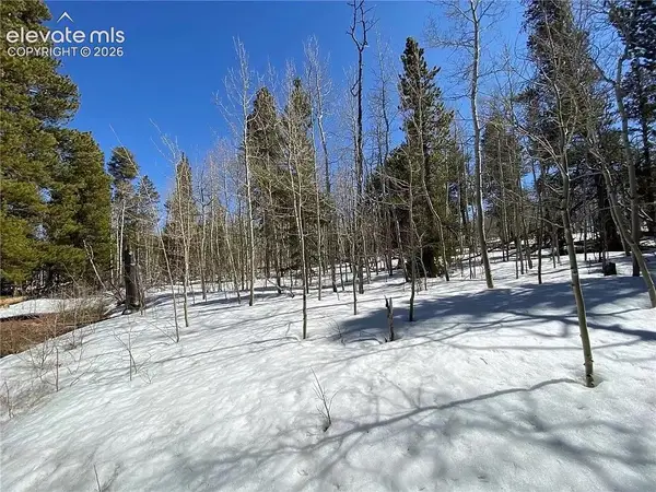 2202 High Creek Road, Fairplay, CO 80440