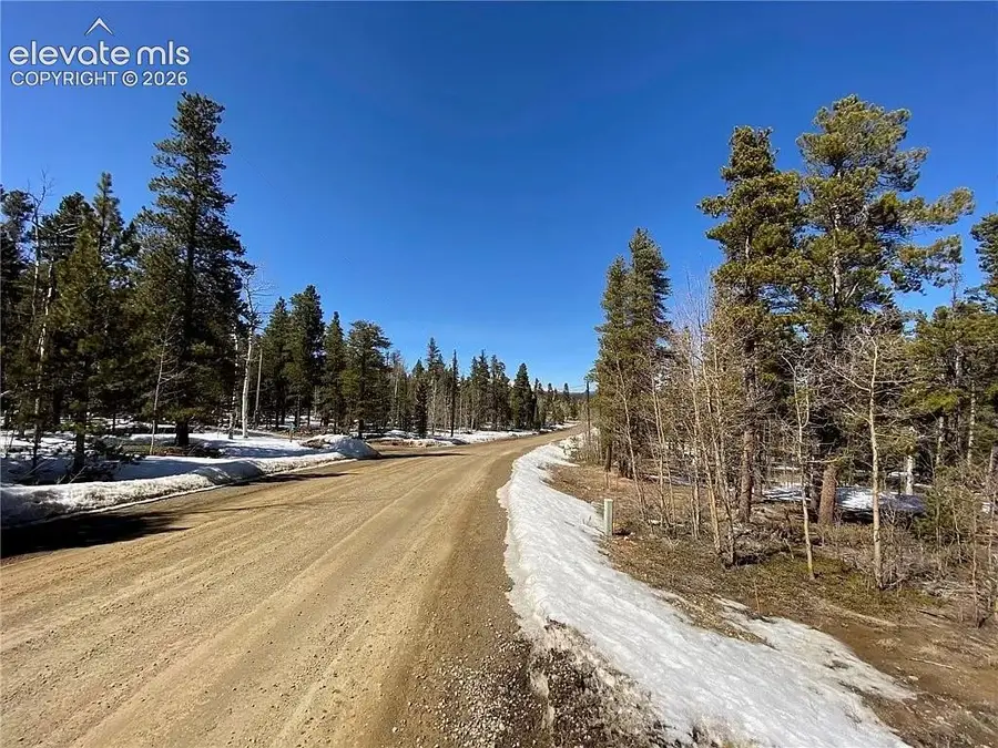 2202 High Creek Road, Fairplay, CO 80440 - #2