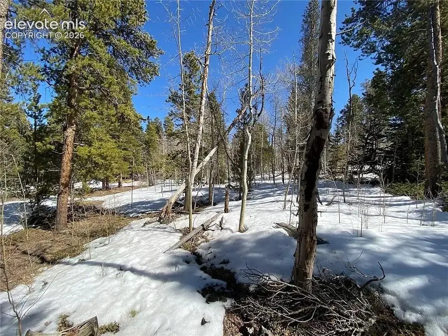 2202 High Creek Road, Fairplay, CO 80440 - #3