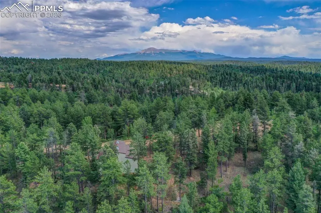 449 Woody Creek Road, Florissant, CO 80816 - #1