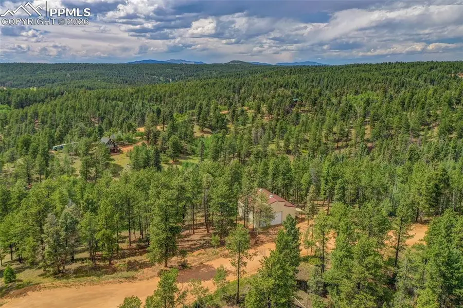 449 Woody Creek Road, Florissant, CO 80816 - #3