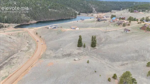 175 Twin Lakes Drive, Divide, CO 80814