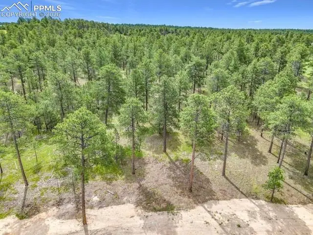 14671 Allen Ranch Road, Colorado Springs, CO 80908 - #2