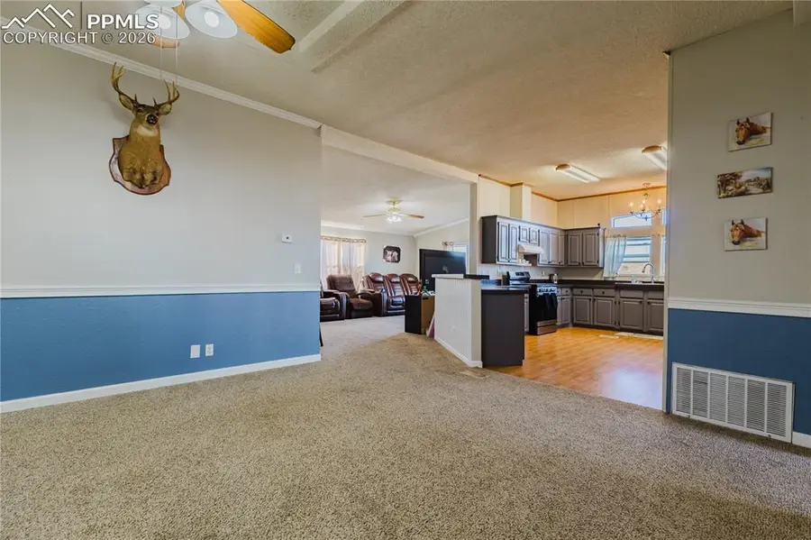 25220 Myers Road, Colorado Springs, CO 80928 - #3