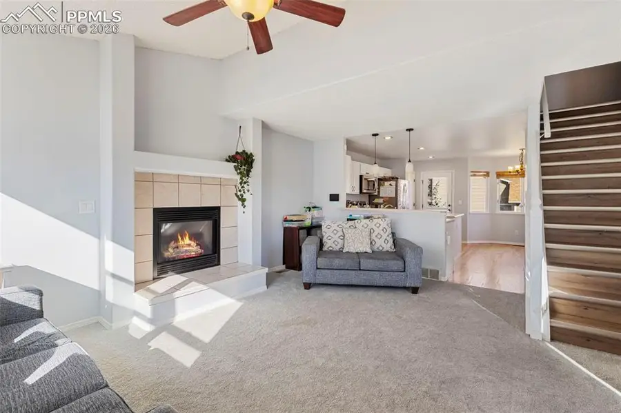 5390 Balsam Street, Colorado Springs, CO 80923 - #2