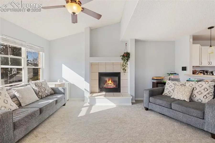 5390 Balsam Street, Colorado Springs, CO 80923 - #3