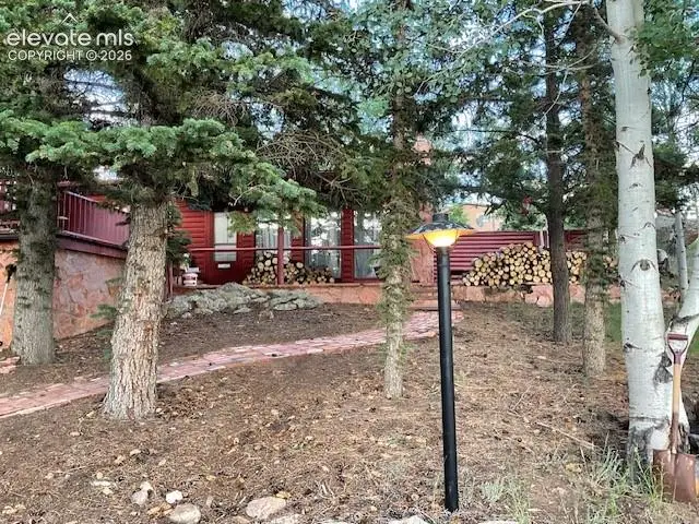 30 Brook Drive, Lake George, CO 80827 - #1