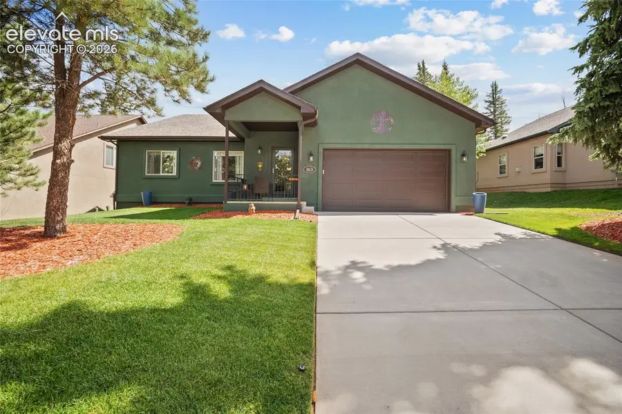 1113 Ptarmigan Drive, Woodland Park, CO 80863 - #2