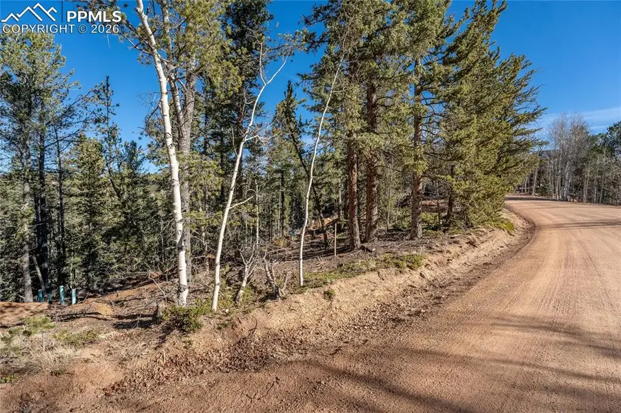 565 Fairview Drive, Cripple Creek, CO 80813 - #3