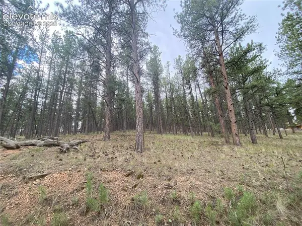 60 Pickens Road, Florissant, CO 80816