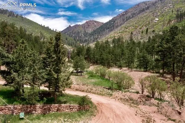 5975 Wellington Road, Cascade, CO 80809 - #3