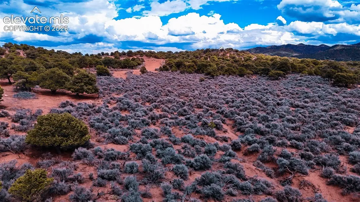 3687 Schiefflin Road, Fort Garland, CO 81133 - #1