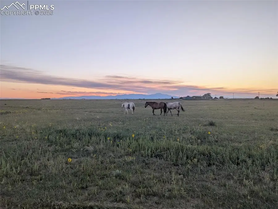 21825 Drennan Road, Colorado Springs, CO 80928 - #2