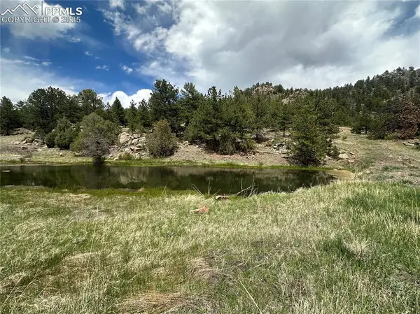 2332 County Road, Florissant, CO 80816