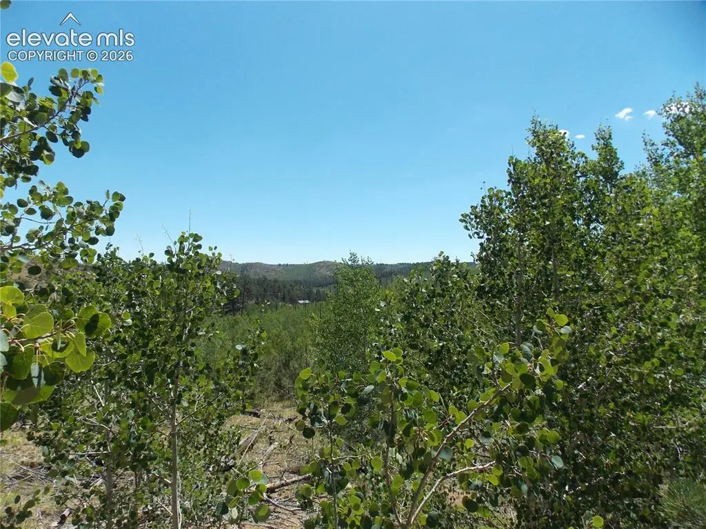 615 Valley Drive, Florissant, CO 80816 - #1
