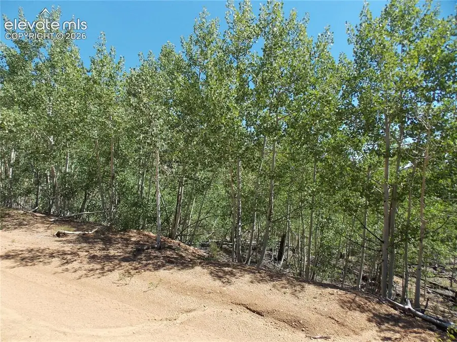 615 Valley Drive, Florissant, CO 80816 - #2
