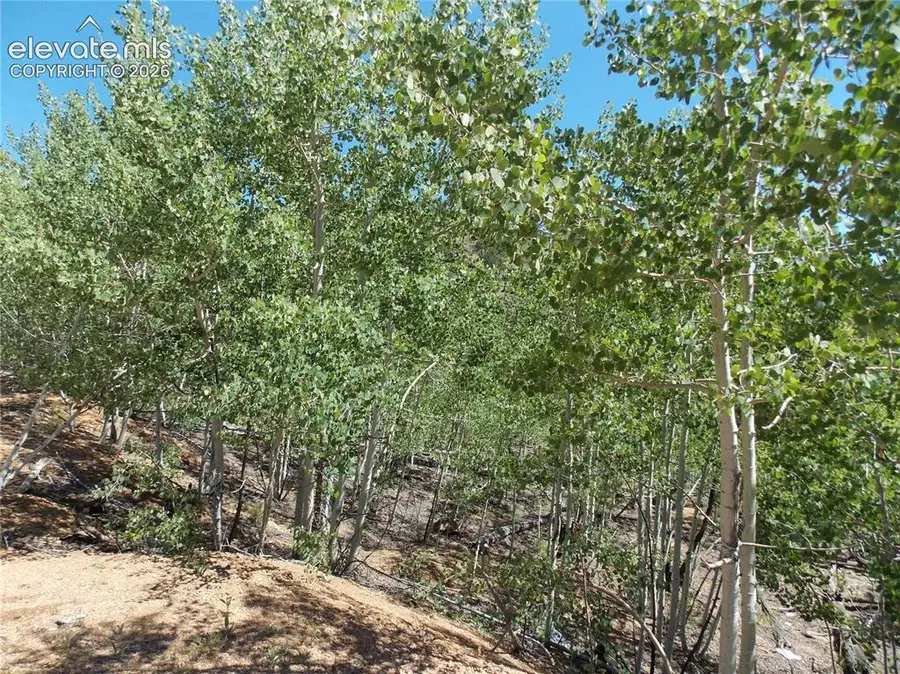615 Valley Drive, Florissant, CO 80816 - #3