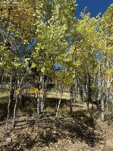 135 Powderhorn Lane, Lake George, CO 80827 - Image #1